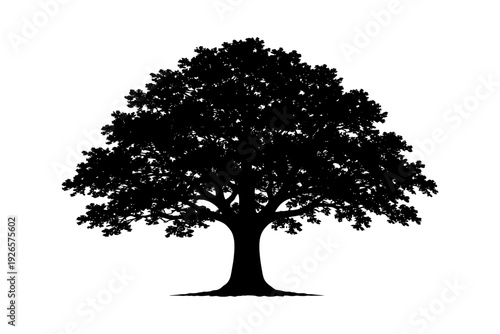 Silhouette of a large oak tree with sprawling branches against white background.