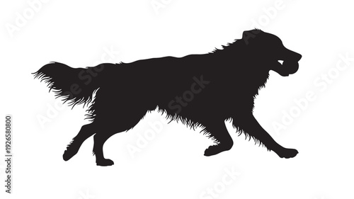 Dog silhouette running with fluffy fur and long tail graphic featuring canine, pet, animal with mammal and vector elements for illustration, black projects, clean composition on simple background