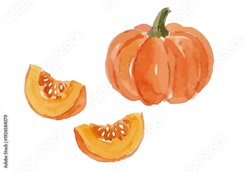 Watercolor Pumpkin Illustration / 水彩風のかぼちゃのイラスト