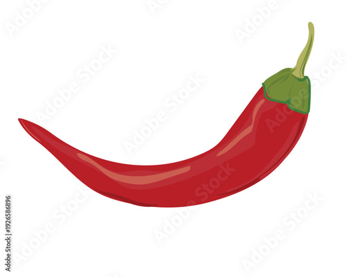 Red hot chili pepper. Vector graphics, flat style. Ingredient of Mexican and Asian cuisine. Spice for Georgian dishes.