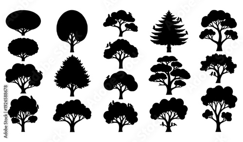 Decorative tree silhouette vector collection with unique canopy designs and perched birds