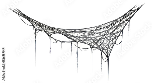 Delicate Spiderweb with Hanging Threads on White Background