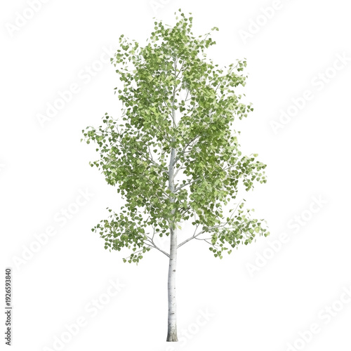 A solitary birch tree with vibrant green leaves stands against a black background, symbolizing nature, growth, and simplicity, ideal for environmental