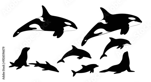 Orca Whales, Dolphins, and Seals Silhouettes Collection