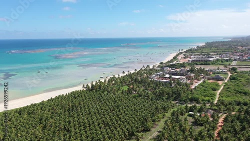 Aerial view of Rota dos Milagres beach with fantastic turquoise waters, white sand beaches, coconut trees and small boats. Patacho, Maceio city, Brazil 