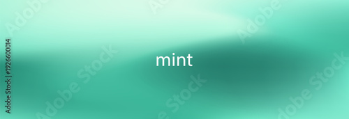 Wide fresh smooth mint green gradient mesh texture background