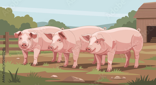 Three pink pigs standing on a farm in rural landscape  