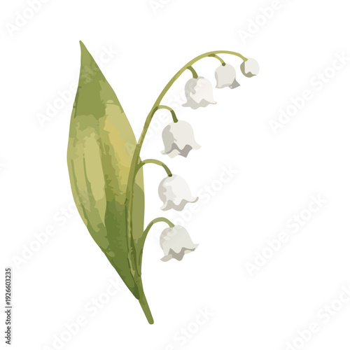 Watercolor Lily of the Valley Illustration / 水彩のすずらんのイラスト