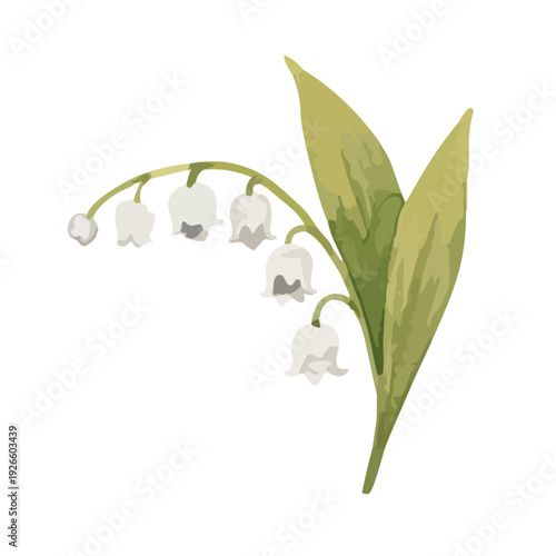 Watercolor Lily of the Valley Illustration / 水彩のすずらんのイラスト