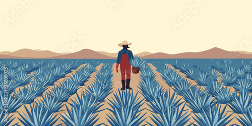 A lone farmer walks through a vast field of blue agave plants