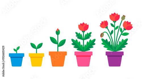 A colorful illustration showcasing the life cycle of a flower, with each stage beautifully presented in vibrant pots