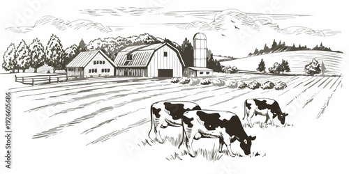 A vintage illustration of a rural farm landscape with grazing cows