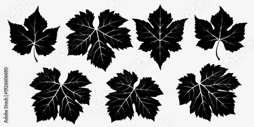 Several black silhouettes of grape leaves arranged on a white background