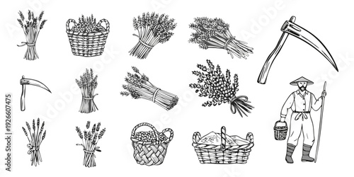 Vintage illustration of wheat sheaves baskets and a farm laborer