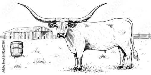 Longhorn cattle stands in a field with a barn and wooden barrel