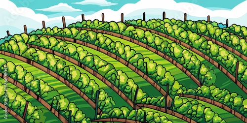 A vibrant illustration of terraced fields with lush green vineyard rows