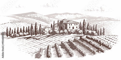 A vintage sketch depicts a tuscan villa amidst rolling vineyard hills