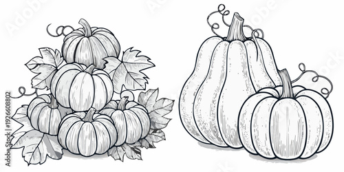 A charming sketch depicts a stack and pair of autumnal pumpkins