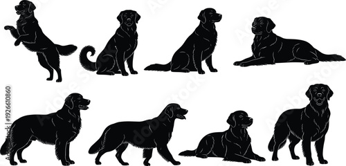 Golden Retriever Silhouette Icon Set with Various Poses Including Standing Sitting Jumping and Lying Down for Dog Breed Identification and Pet Service Graphics