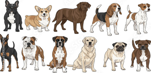 Realistic Dog Breeds Collection with French Bulldog Corgi Labrador Beagle Boxer Pug and Other Popular Canine Pets Vector Illustration Set