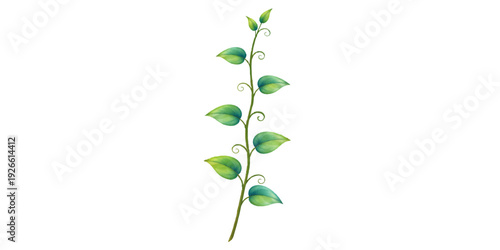 Fresh green leaves on a natural branch sprout from a young plant stem, featuring a growing bud isolated on a white background to highlight spring growth and environment