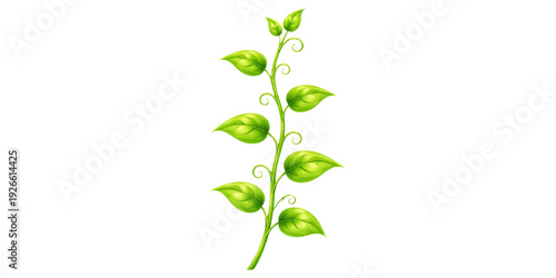 Fresh green leaves and spring sprouts grow on a natural branch isolated on a white background to represent eco growth and organic flora foliage