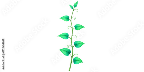 Fresh green leaves and growing sprouts isolated on a white background representing a natural spring growth concept for eco design and botany illustrations