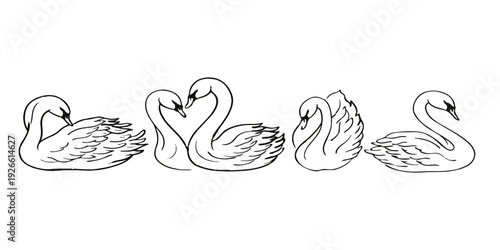 Hand drawn vector illustration of two abstract swan birds forming a heart symbol with their wings and beaks to represent love and nature in a cartoon silhouette design