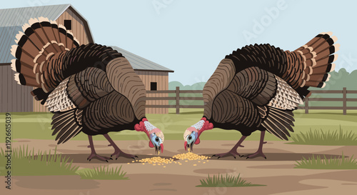 Two turkeys feeding on grain in farmyard setting  