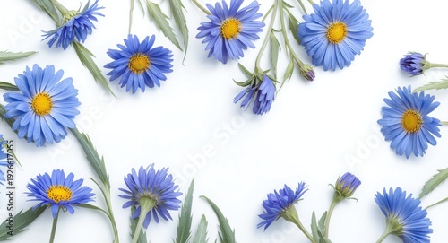 Bright blue cornflowers arranged on white background with copy space for summer text