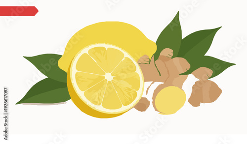 Lemon slice whole lemon and ginger root vector illustration EPS 10
