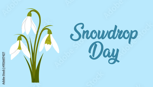 Snowdrop Day. Simple holiday banner with spring snowdrop flowers on a blue background in flat style. Spring is coming.