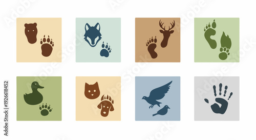Collection of animal tracks and silhouettes including bear, wolf, deer, duck, cat, dog, eagle, and handprints.