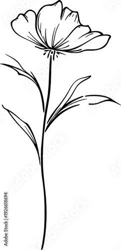 Simple line art flower illustration