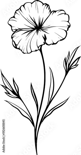 Black and White Flower Illustration