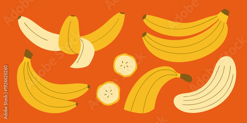 Stylized illustration of various bananas and banana slices on orange