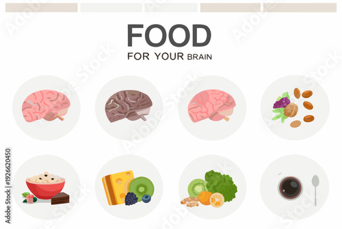 Brain food illustrations of healthy foods promoting cognitive function