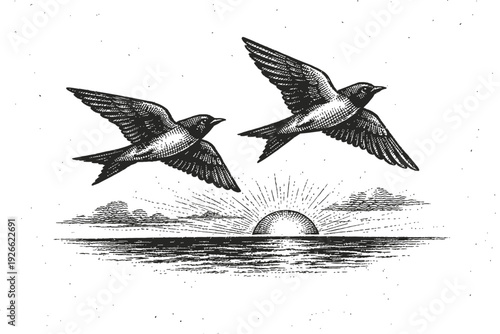 Two graceful birds, reminiscent of swallows, fly freely across a serene sky above a rising sun on a calm ocean, depicted in a stunning vintage woodcut engraving style. This classic black and white ill