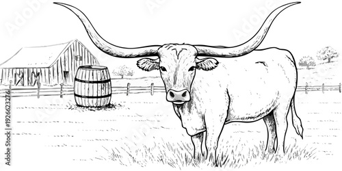 Longhorn cattle stands near a barn and wooden barrel in a field