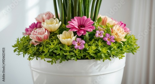 White planter filled with c...