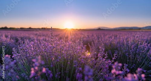 Radiant sunrise highlightin...