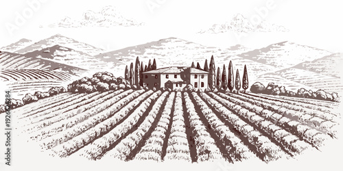 Vintage illustration of a tuscan farmhouse amidst rolling vineyard fields