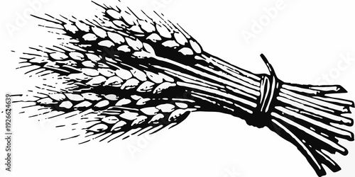 A black and white illustration of bundled wheat stalks tied together