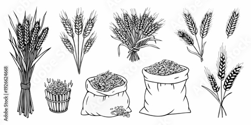 Vintage illustration of wheat sheaves grains and a sack of harvest