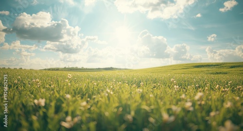 Calm landscape with green g...