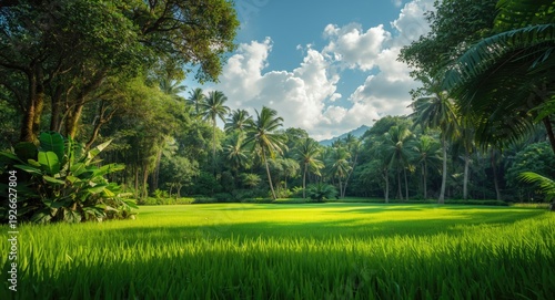 Summer nature escape to a t...