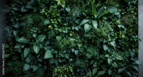 Vertical garden of mixed or...