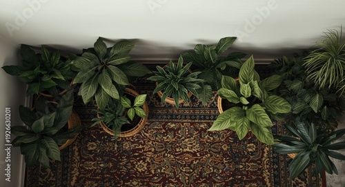 Top down image of apartment...
