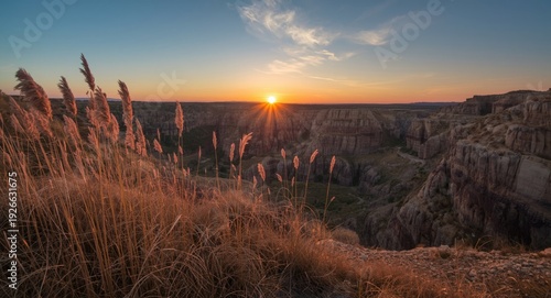 Scenic sunset over tall gra...