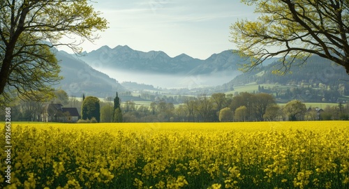 Expansive spring rapeseed f...